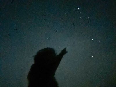For amateur astronomers, 'star parties' are the antidote to light-polluted skies