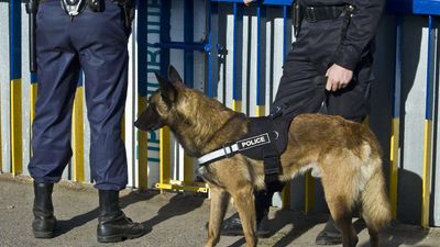 Police Let Their K-9 Maul on the Wrong Guy. They Arrested Him Anyway.