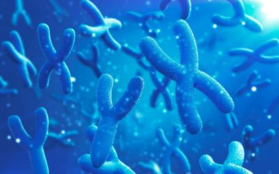 Male chromosome loss linked to life-threatening cancers and early death