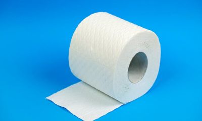 Caught short: lack of recycled toilet paper in UK ‘fuelling deforestation’