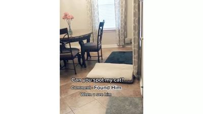 Optical Illusion: You have a perfect vision if you can spot the cat in less than 10 seconds