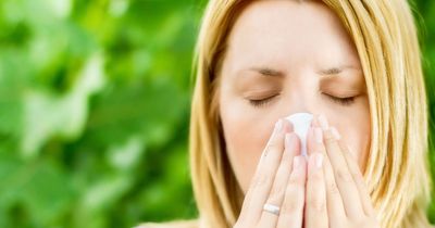 Experts share best ways to treat hay fever - from wearing sunglasses to eating fruit