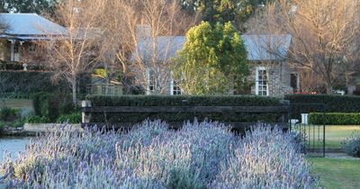 Bath House at Oakhampton Heights soaks in seasonal beauty