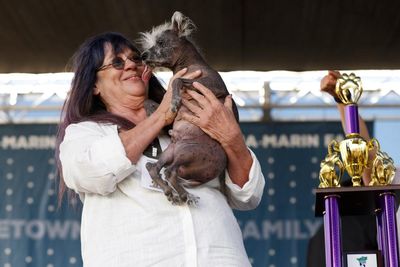 Scooter, a Chinese crested, is crowned world’s ugliest dog