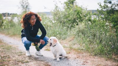 Want to maintain your puppy’s focus around other dogs? Listen to this trainer's top tip for more enjoyable walks