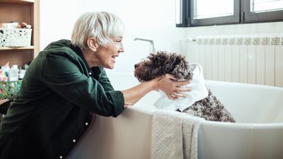Try this trainer’s top tip to reduce your dog’s bath time stress