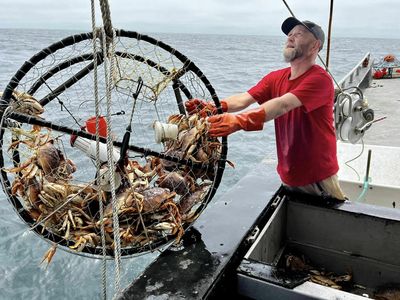 This fishing gear can help save whales. What will it take for fishermen to use it?