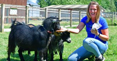 Popular farm loved by families that attracts thousands every year