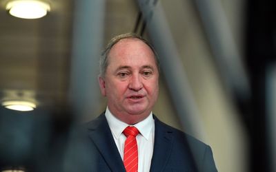 ‘Overinflated opinion of himself’: Nationals MPs speak out on chances of Barnaby return
