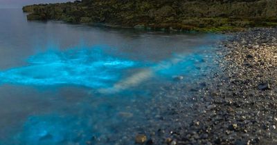 People rush to 'magical' UK beach that 'lights up' at night