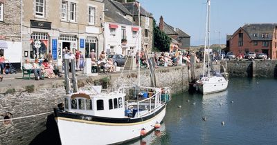 Boy, 5, dies after plunging from harbour wall in horror fall