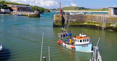 Boy dies after falling from harbour wall in Cornwall