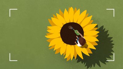 How to be confident again: 10 tips to get your confidence back if it's shattered