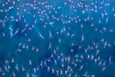 Pictures of the week: Solstice swimming, pride parades and an extreme bike battle