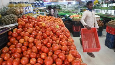 A kg of tomato to likely cost over ₹100 soon