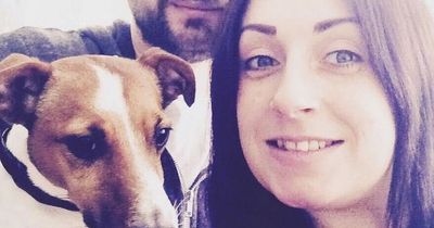Family devastated after vets and crematorium 'lose beloved dog's ashes'