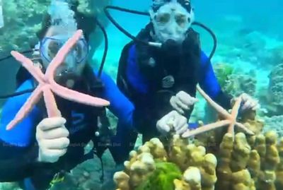 Starfish selfies land tourists in trouble