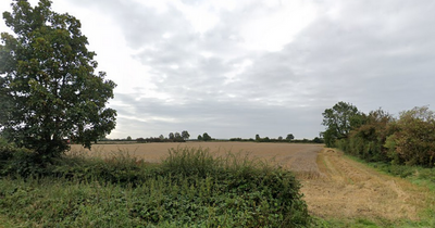 Another massive solar farm planned on Nottinghamshire farmland