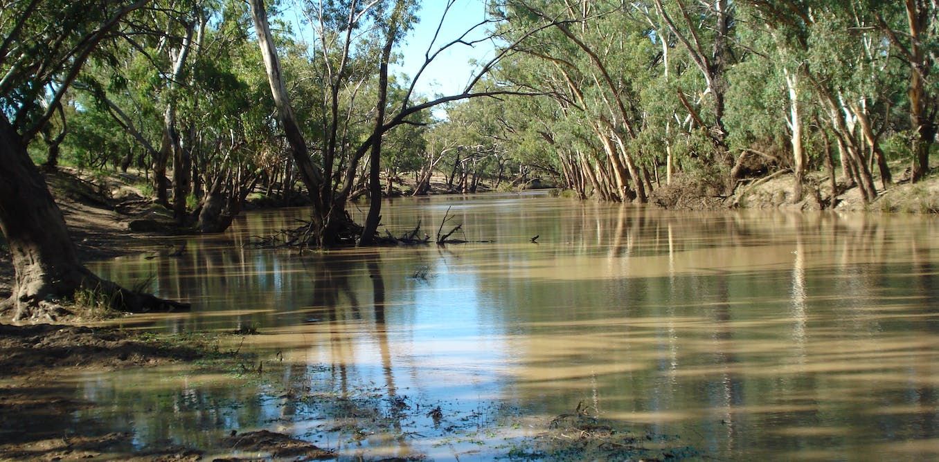 Soil erosion is filling vital inland river waterholes,…