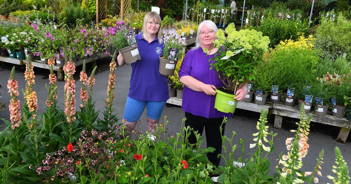 Shops at Carr Farm Garden Centre Wirral