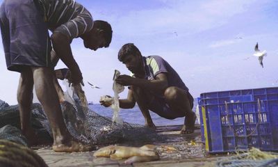 Against the Tide review – old ways vs the new in a study of modern Indian fisherfolk