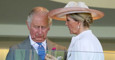 Sophie Wessex's 'gesture of concern' to King Charles spotted as they chat at Ascot