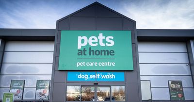 Pets at Home launches £50m shares buyback move
