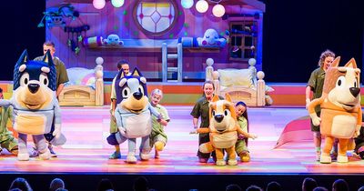 Oh Biscuits! Kids favourite Bluey is going on tour and ticket pre-sale starts on Monday