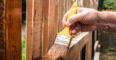 'I'm a DIY fan and painted my fence in minutes thanks to cheap £15 B&Q buy'