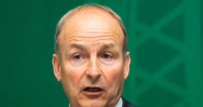 Micheal Martin insists Dee Forbes should appear before Dail committees