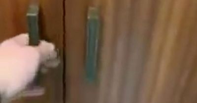Hotel guest finds hidden passage in 'Narnia' wardrobe - but some think it's more sinister