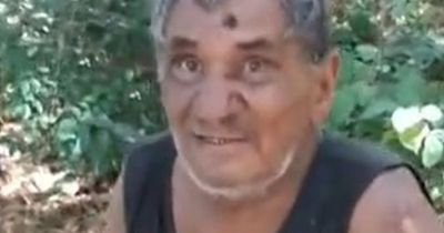 Man, 82, survives week lost in woods by eating termites and drinking own urine