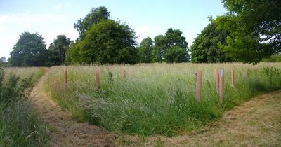 Wildlife area at Nottinghamshire park reopens after it was vandalised