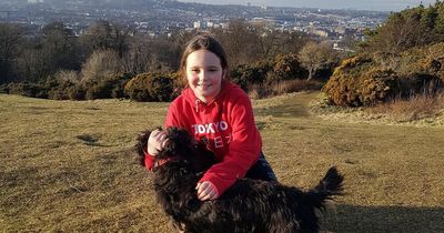 West Lothian family heartbroken as two beloved dogs suddenly die after walk