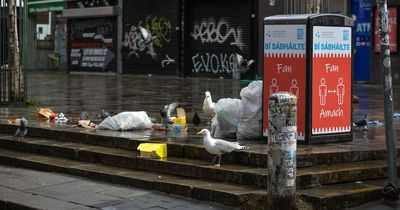 The dirtiest cities and towns in Ireland revealed, with one singled out as 'most littered'