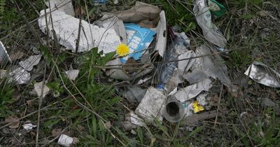 Have your say on litter in Dublin as city centre among dirtiest areas in Ireland