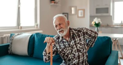 'Exciting new 12-week programme gives real boost to older people with bad backs'