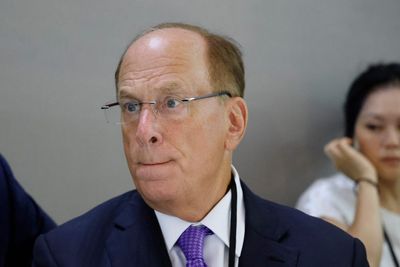 BlackRock CEO Larry Fink, who faced intense backlash for championing ESG, says he’s ‘ashamed’ the topic has become politicized