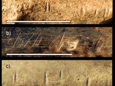 Stone Tools Reveal Evidence Of Cannibalism 1.45 Million Years Ago