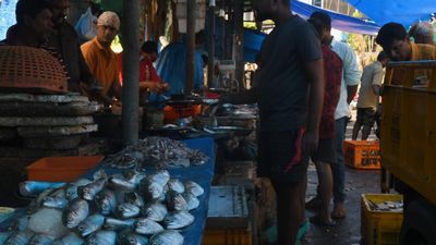 With trawling ban in full swing, fish prices spiral up in Kerala