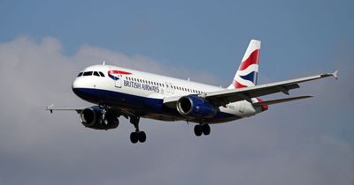 Brit, 29, dies after falling unconscious on British Airways flight to the Caribbean