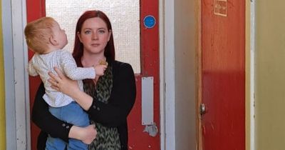 Disgusted Edinburgh mum's health fears as pigeons 'take over' council flats