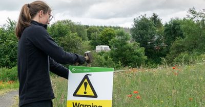 Dumfries and Galloway forest visitors urged to pay attention to warning signs