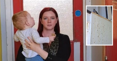 Mum's health fears as Scots flat block covered in pigeon droppings and dead birds
