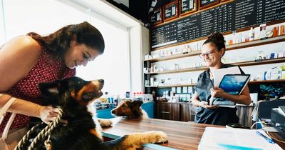 Pet party taking place next month to launch opening of new Petstop store in Blackrock