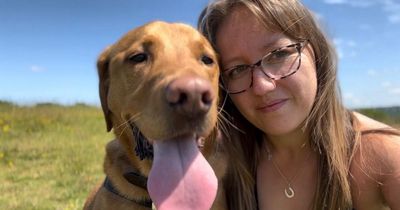 Devastated dog owner desperate to raise funds for ‘sweet Labrador’ with cancer