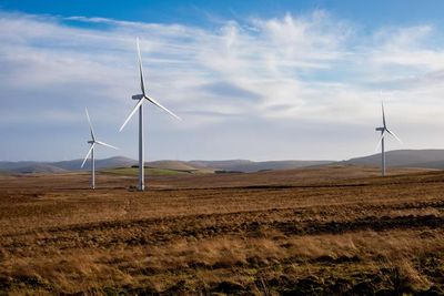 'Trailblazing' Scottish wind farm project applies for planning approval