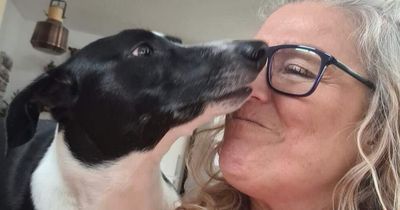 Nottingham mum praises 'lifesaver' dog that detected her cancer