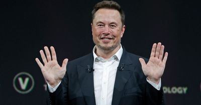 Twitter users complain of 'graphic' videos on app as Elon Musk describes 'TikTok' feature as "edgy"