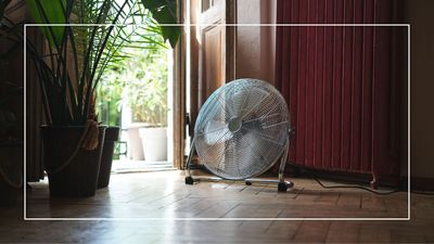 8 expert fan hacks: clever ways to cool down a room with a fan more efficiently